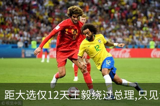 距大选仅12天王毅绕过总理,只见没实权的总统,这盘棋很深